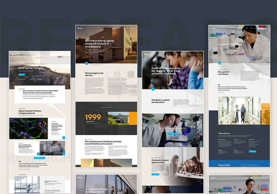 巴克（Buck）衰老研究所企業(yè)vi設(shè)計網(wǎng)站的規(guī)劃.jpg