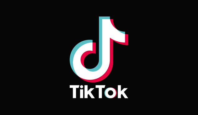 TikTok 標志的設計元素.png