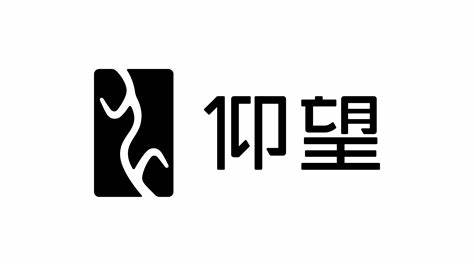 比亞迪仰望logo設計理念是什么-探鳴設計.jpeg